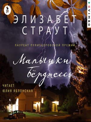 cover image of Мальчики Берджессы